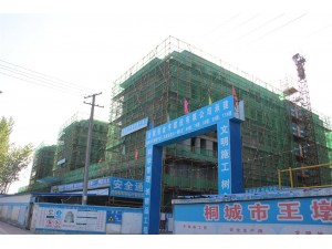 2017年度安慶市質(zhì)量安全標(biāo)準(zhǔn)化工地-王墩棚戶區(qū)6#、7#、8#、9#、11#